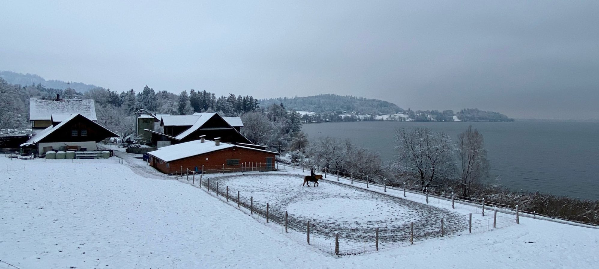 Islandpferdehof Böschenrot